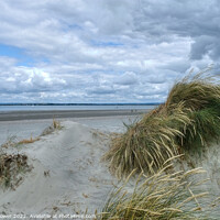 Buy canvas prints of West Wittering beach and sand Dunes  by Diana Mower