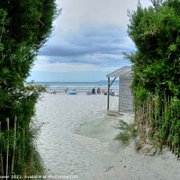 Buy canvas prints of West Wittering Path to the beach  by Diana Mower
