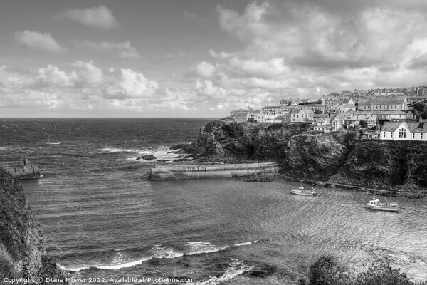   Port Isaac Cornwall Monochrome   Picture Board by Diana Mower