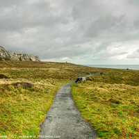 Buy canvas prints of Samphire Hoe Country Park Kent by Diana Mower