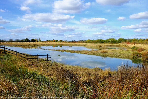 Blackwater Estuary Marshes Essex Picture Board by Diana Mower