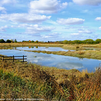 Buy canvas prints of Blackwater Estuary Marshes Essex by Diana Mower