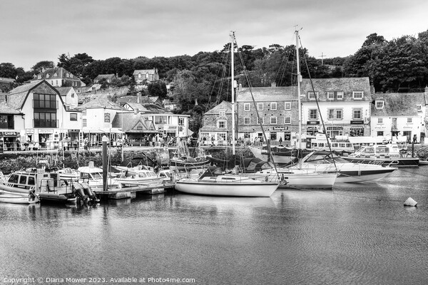 Padstow Harbour in Black and White Picture Board by Diana Mower