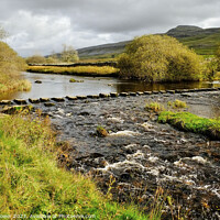Buy canvas prints of  Stepping stones across the River Doe Yorkshire Da by Diana Mower