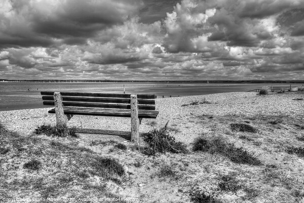 West Wittering Beach Seat monochrome Picture Board by Diana Mower