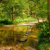 Buy canvas prints of The Cannock Chase Stepping Stones by Diana Mower