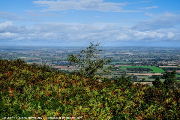 The Wrekin View Shropshire Picture Board by Diana Mower