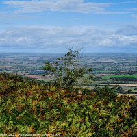 Buy canvas prints of The Wrekin View Shropshire by Diana Mower