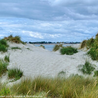 Buy canvas prints of West Wittering Sand Dunes Sussex  by Diana Mower