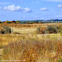 Buy canvas prints of Essex Countryside in Autumn. by Diana Mower