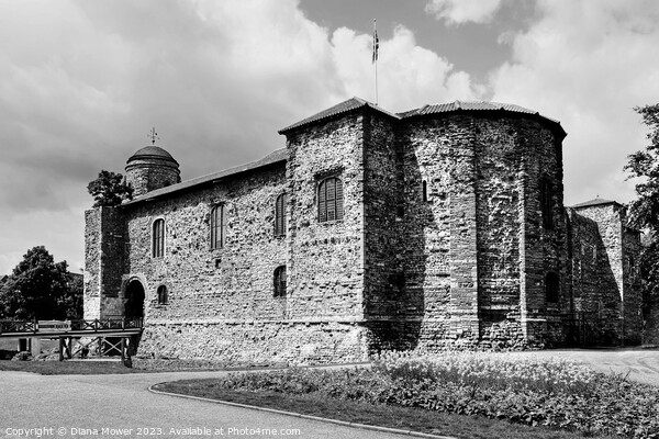 Colchester Castle in Black and White Picture Board by Diana Mower