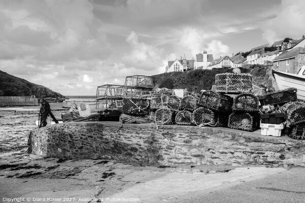 Harbour Lobster Pots Port Isaac Mono Picture Board by Diana Mower
