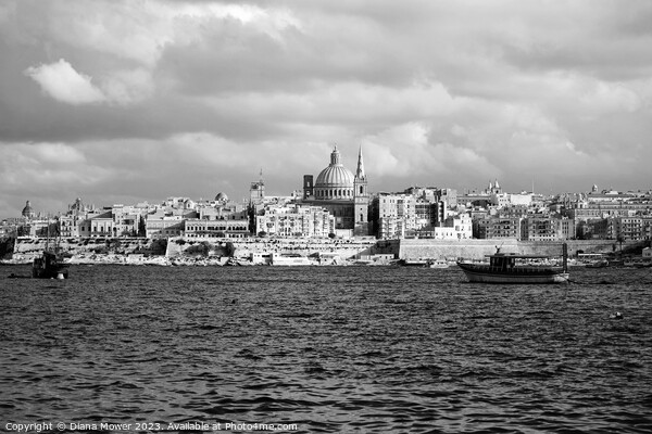 Valletta Malta Monochrome   Picture Board by Diana Mower