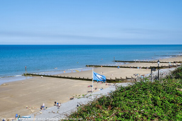 Sheringham Blue Flag Beach Picture Board by Diana Mower