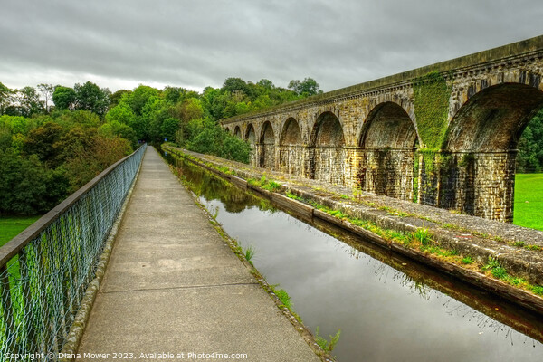 Chirk Aqueduct and Railway Viaduct Picture Board by Diana Mower