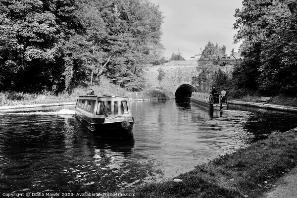 Chirk Canal Tunnel Monochrome Picture Board by Diana Mower