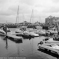Buy canvas prints of Padstow Cornwall monochrome by Diana Mower