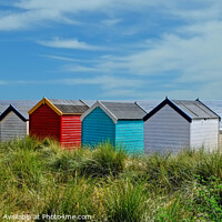 Buy canvas prints of Southwold beach huts on the Dunes by Diana Mower