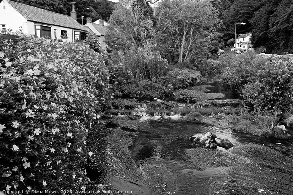 Cheddar Gorge Village in Black and White Picture Board by Diana Mower