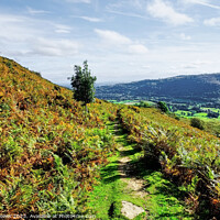 Buy canvas prints of Vale of Llangollen from the Hills by Diana Mower