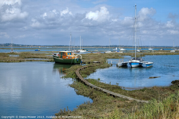 Tollesbury Marshes Moorings Blackwater Estuary  Picture Board by Diana Mower