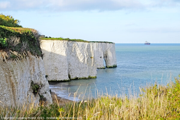   Kingsgate Bay A Stunning Coastal View Picture Board by Diana Mower