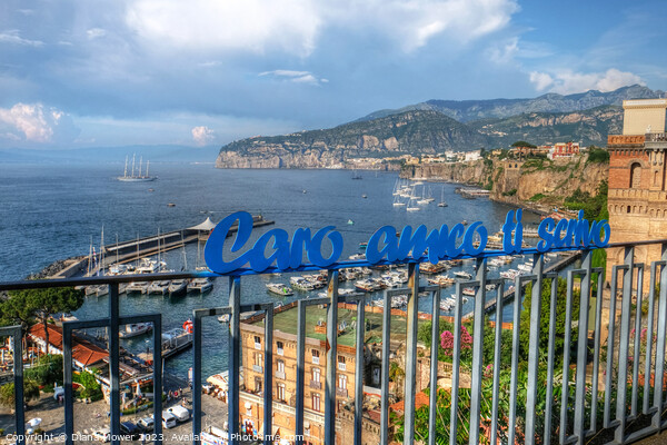  Sorrento  Picture Board by Diana Mower