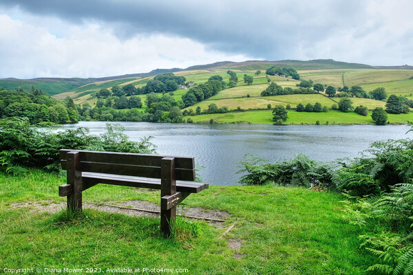 Ladybower Derbyshire Picture Board by Diana Mower