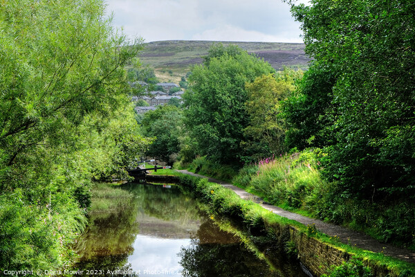 Huddersfield Narrow Canal View Picture Board by Diana Mower