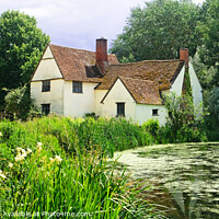 Buy canvas prints of Willy Lotts House Panoramic by Diana Mower