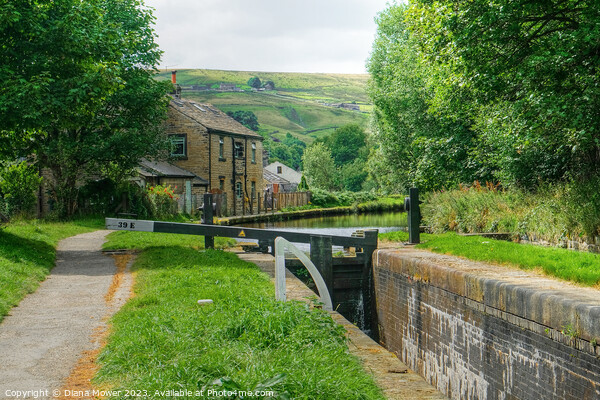Huddersfield Narrow Canal  Picture Board by Diana Mower