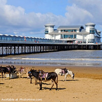 Buy canvas prints of Weston-super-Mare Donkeys on the Beach by Diana Mower