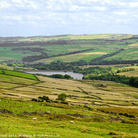 Buy canvas prints of Digley Reservoir Yorkshire by Diana Mower