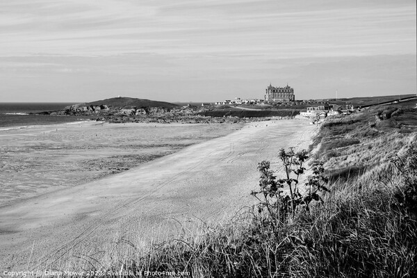 Fistral Beach and Towan head Monochrome Picture Board by Diana Mower