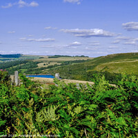 Buy canvas prints of Strines Reservoir and Boots Folly by Diana Mower
