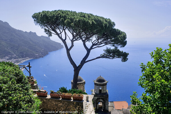 Ravello Views Italy Picture Board by Diana Mower