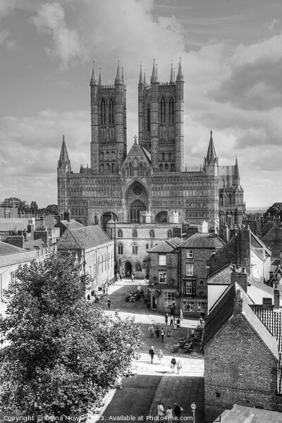 Lincoln Cathedral Black and White Framed Print by Diana Mower