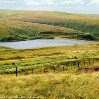 Buy canvas prints of Wessenden Head Reservoir West Yorkshire by Diana Mower