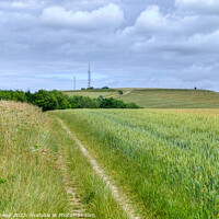 Buy canvas prints of Monachs Way West Sussex   by Diana Mower