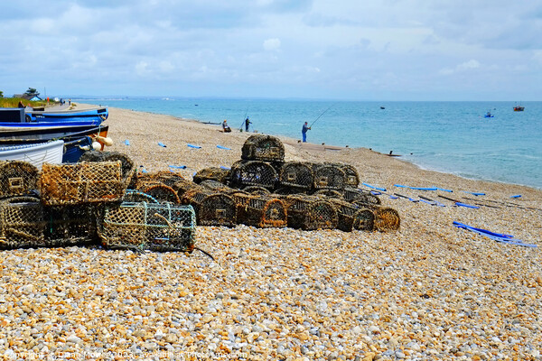 Selsey Bill Beach Fishing Picture Board by Diana Mower