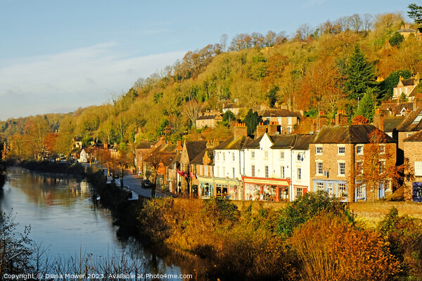 Ironbridge High Street and River Severn Picture Board by Diana Mower