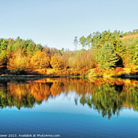 Buy canvas prints of Cannock Chase Autumn Reflections by Diana Mower