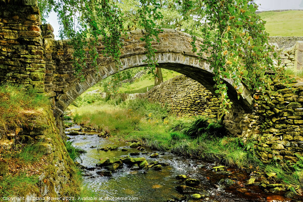 Eastergate Bridge Marsden Moor Yorkshire Picture Board by Diana Mower