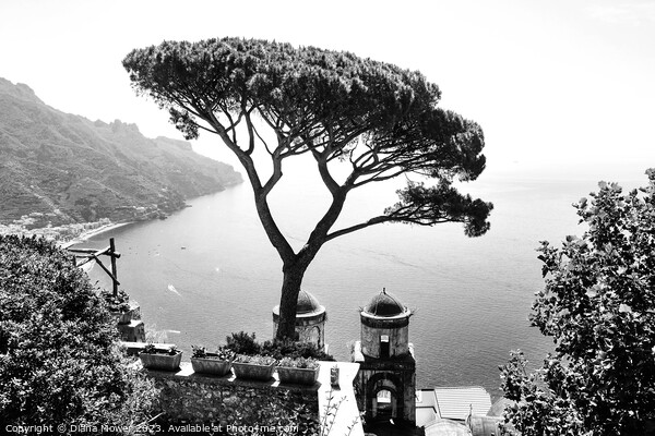 Ravello Views Italy in Black and White Picture Board by Diana Mower