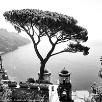 Buy canvas prints of Ravello Views Italy in Black and White by Diana Mower