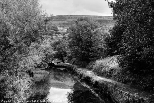Huddersfield Narrow Canal Monochrome Picture Board by Diana Mower