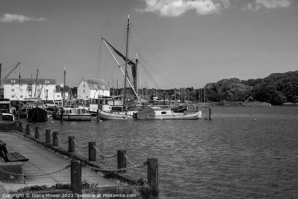 Woodbridge tide Mill Black and White Picture Board by Diana Mower