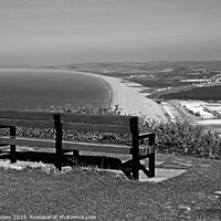 Buy canvas prints of Chesil Beach Dorset Monochrome by Diana Mower