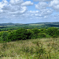 Buy canvas prints of South Downs from the Devils Humps by Diana Mower