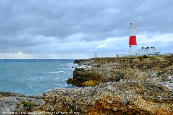 Portland lighthouse Dorset Picture Board by Diana Mower